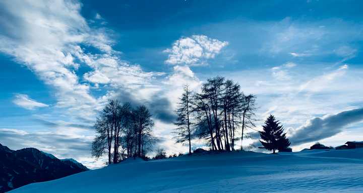 Lärchen auf der verschneiten Anhöhe über dem Dorf
